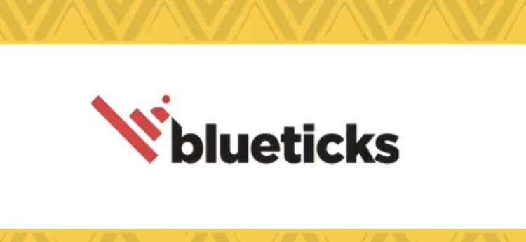 Get an e-commerce website at 700ghc with Blueticks Technology