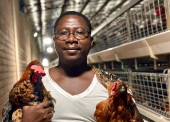 I built 22,000 birds from humble beginnings – Adu Ababio